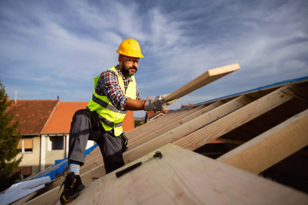 Best Roof Maintenance and Cleaning  in North Braddock, PA